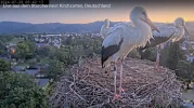Kirchzarten_Ring_29Juli2024_HD3.webp