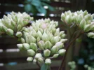 DSCN0557.webp