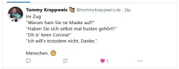 TommyKrappweisMaskeImZug.webp