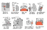 (pammesberger)-baeren.webp