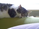 DSCN9724.webp