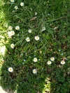 IMG_20210328_123417.webp
