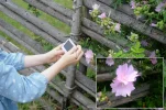 KlaraFotografiert_k.webp