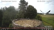 Hamm_Luca_Jungfernflug 2024-08-05 12Uhr5740.webp