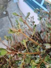 20240807_173912.webp