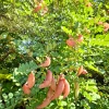 20240809_100628.webp