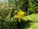 DSCN6404.webp