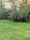 IMG_3714.webp