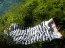 DSCN6439.webp