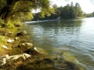 DSCN6442.webp