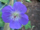 DSCN0073.webp