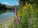 DSCN6450.webp
