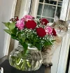 FullSizeRender.webp