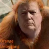 orange-untergang-2024.webp