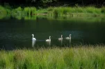 _IMGP9041k.webp