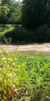IMG_20240827_121007.webp