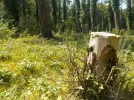 DSCN6474.webp