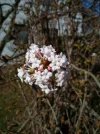 IMG_20230301_113032.webp
