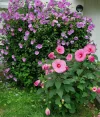 20240910_134034.webp
