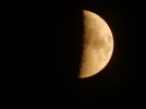 DSCN3619.webp