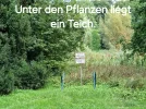 20240912_151126.webp