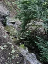 20240912_145648.webp