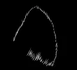 1726160003396.webp
