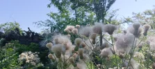 IMG_20240731_101357.webp