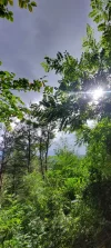 1000024436.webp