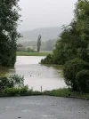 Wiese unter Wasser.webp
