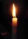 1726689647532.webp
