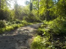 DSCN6485.webp
