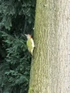 20240920_181815.webp