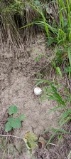 IMG_20240720_085028.webp