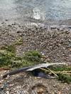 IMG_9561.webp