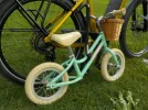 DSCN6507.webp