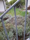 20240919_072720.webp