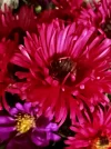 IMG_8513.webp