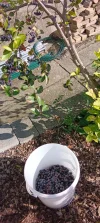 IMG_20240930_115220.webp