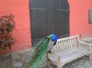 DSCN0314.webp