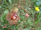 IMG_20241003_163737.webp