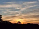 20241005_181250.webp