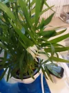 20241009_085224.webp
