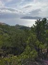 IMG_20241009_114539_HDR.webp