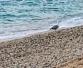 IMG_20241010_072230_HDR~2.webp