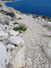 IMG_20241010_102354~2.webp