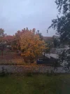 20241010_172435.webp