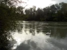 DSCN6533.webp
