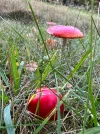IMG_4277.webp