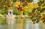 IMG_7083.webp